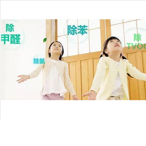 上門(mén)除甲醛！你真的了解嗎？